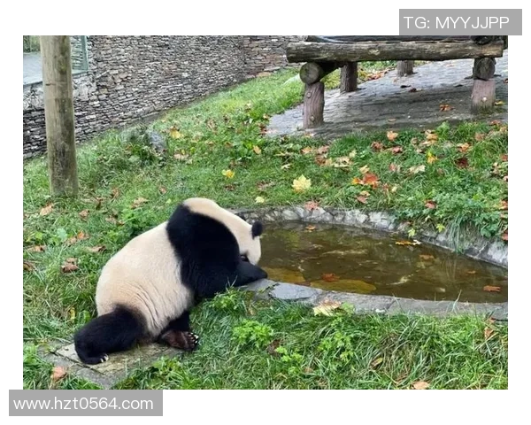 熊猫体育致力于构建温暖友好的社区文化理念与实践探索